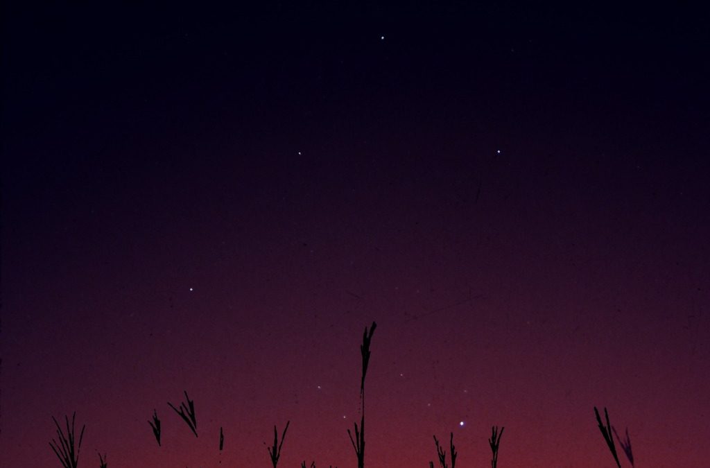 The Fixed Stars