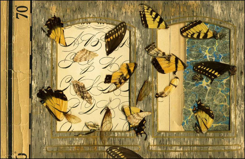 FlatbedCollage3