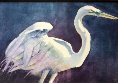 Great egret, from a painting by Joseph Fettingis