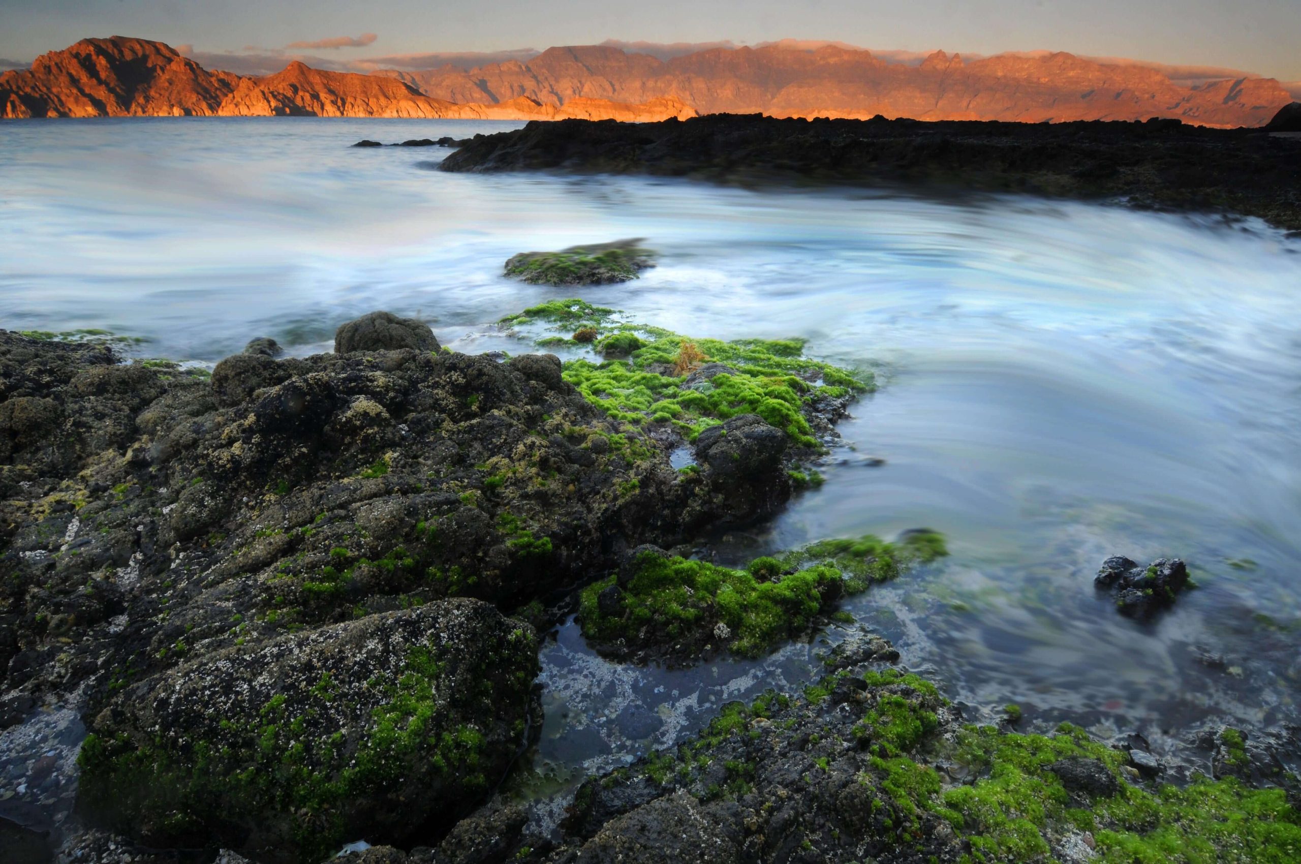 TidePool